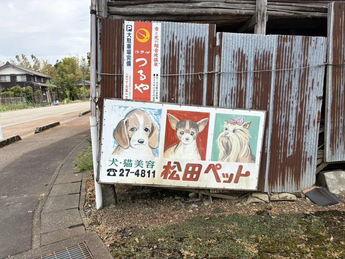 セーロソバ tweet media