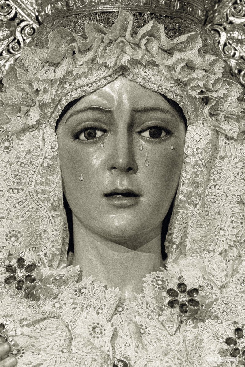 Feliz día de la madre.