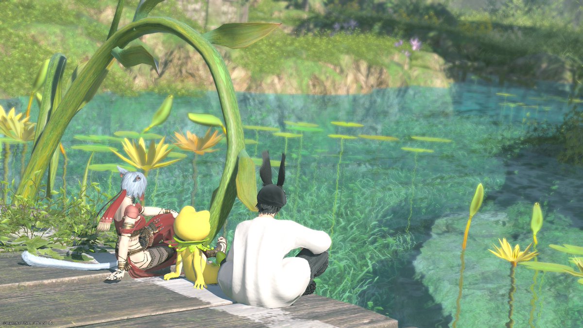 Sammy_T_FF14's tweet photo. デジョンで戻って探索も面白かったｹﾛ🐸 https://t.co/Htq8NZpusc