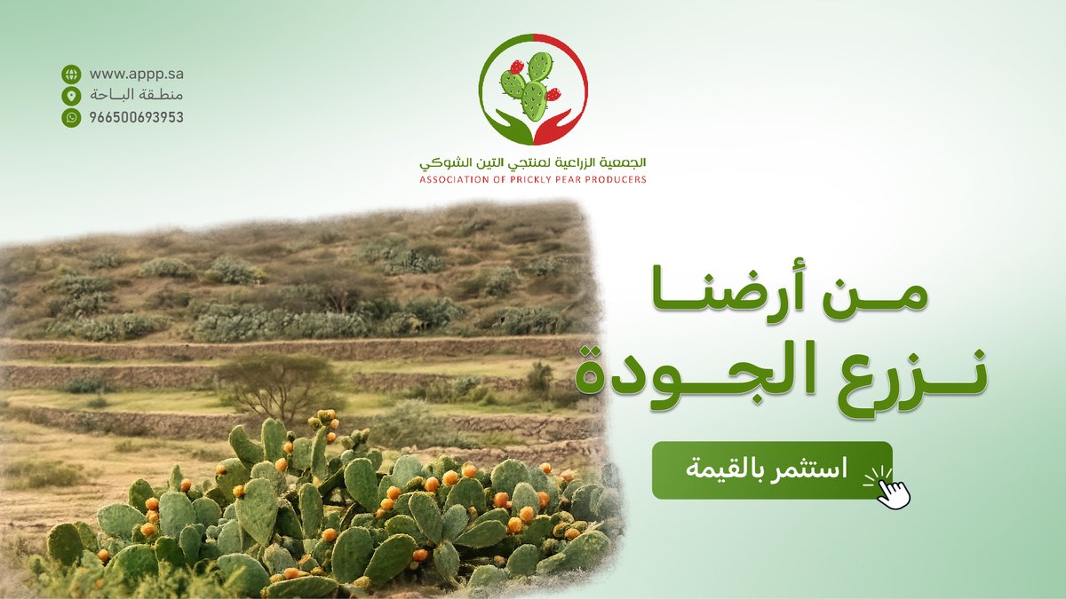الجمعية الزراعية لمنتجي التين الشوكي tweet media