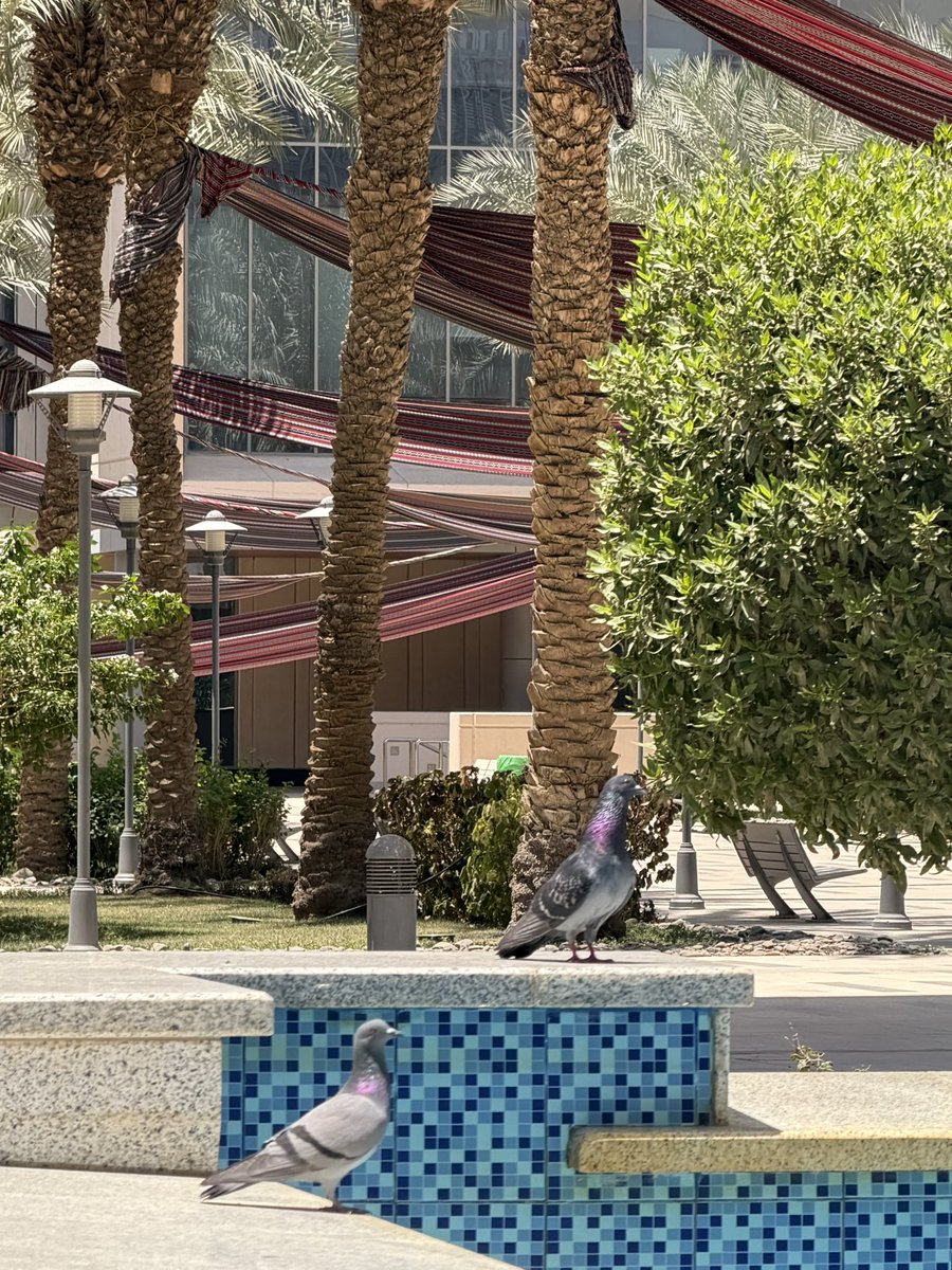 Rand🦒 tweet media