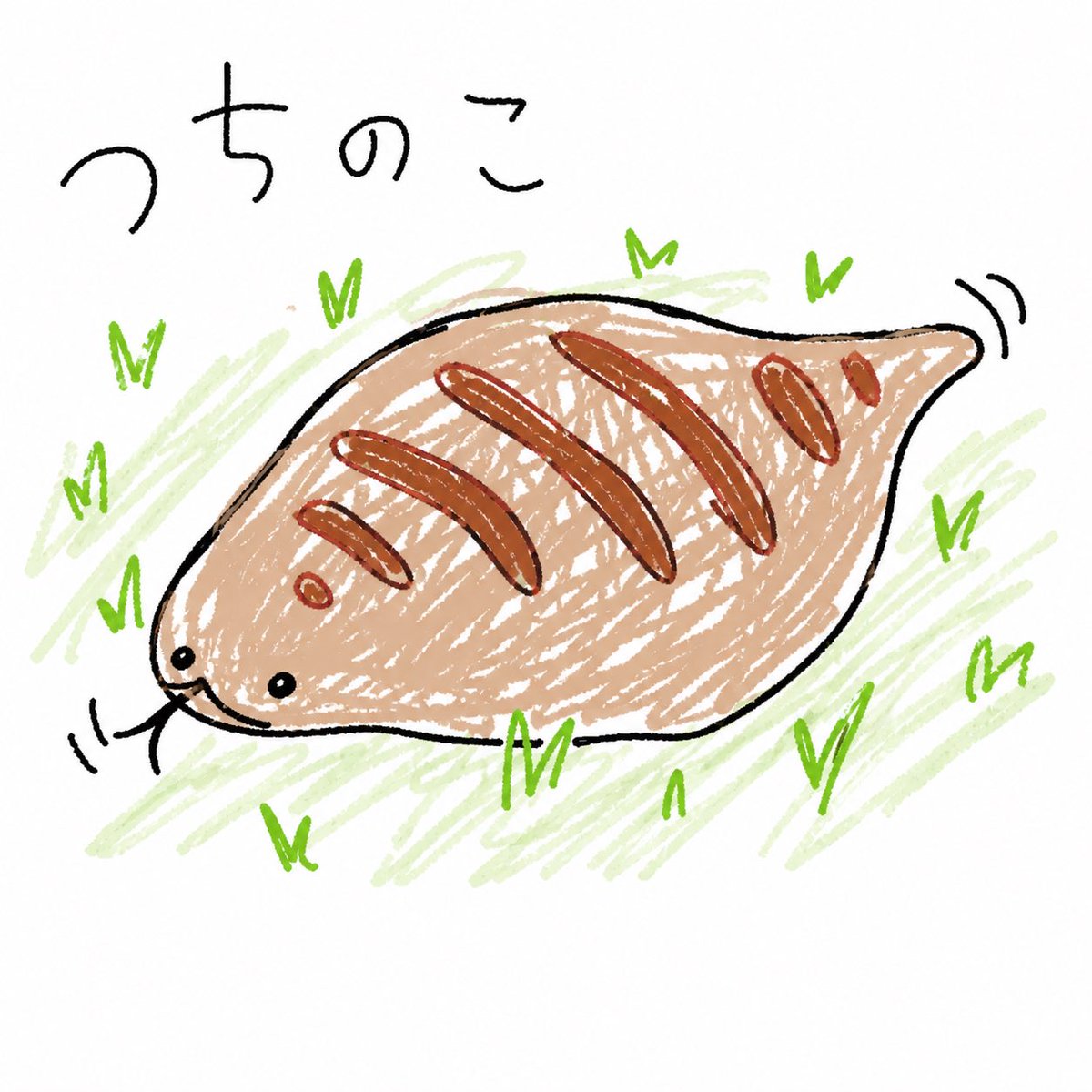 月蓮縁狸 tweet media