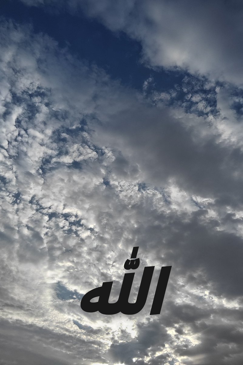 سهم الحجاز 🇸🇦 🌐 tweet media