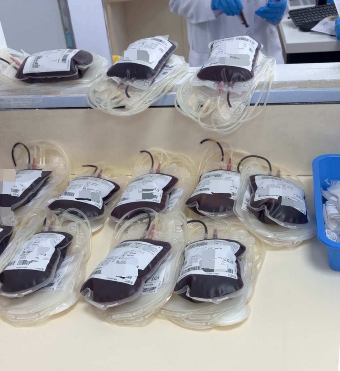 tinySPIDER_'s tweet photo. Training at the blood bank
                    🩸🏥 https://t.co/DG34s8mxgF