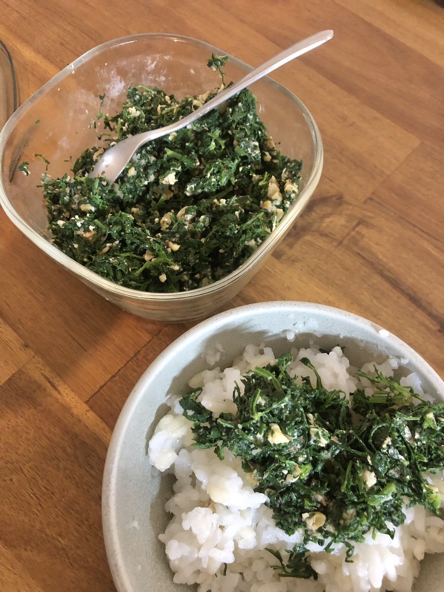 直売所に貼ってあったにんじん葉のふりかけレシピが美味しすぎた😋
塩茹でして水気切ったにんじん葉と胡桃と味噌を刻んで叩いて少し寝かすだけのシンプルレシピ。

スーパーで買う野菜は葉っぱ切られちゃってるもんね。直売所の野菜は一物全体で食べられるから嬉しい♡