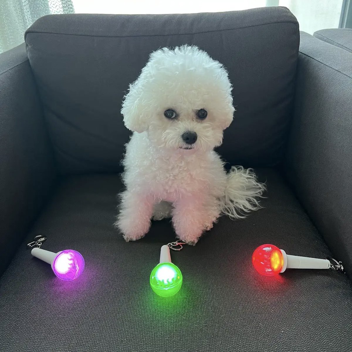 효자🎈 ソンシギョン 💜성시경 応援中💜 tweet media