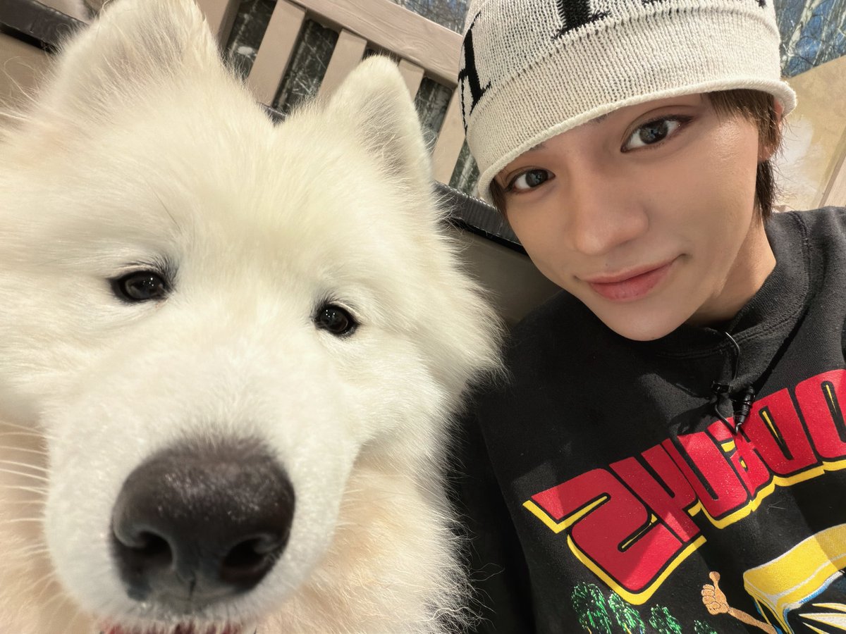 WOLF HOWL HARMONY【公式】 tweet media