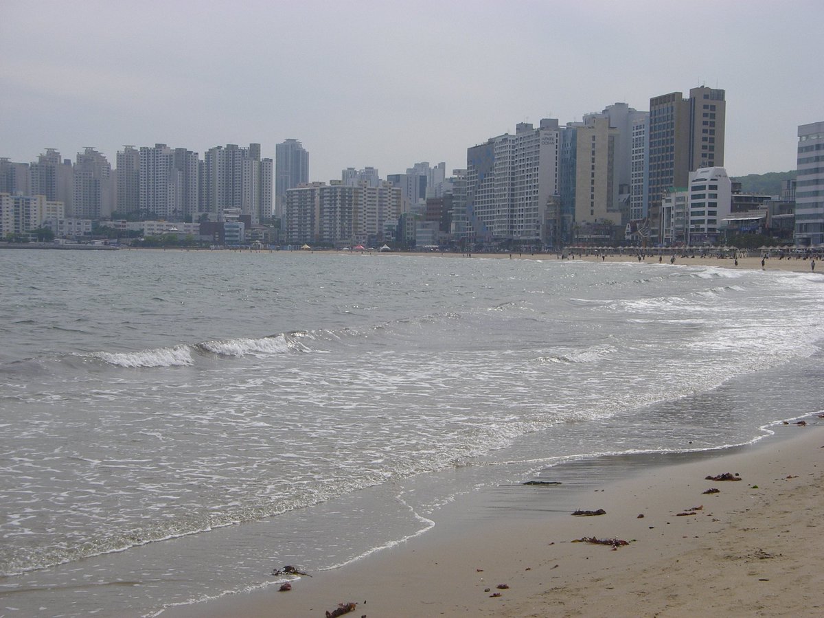 티구🎱 tweet media