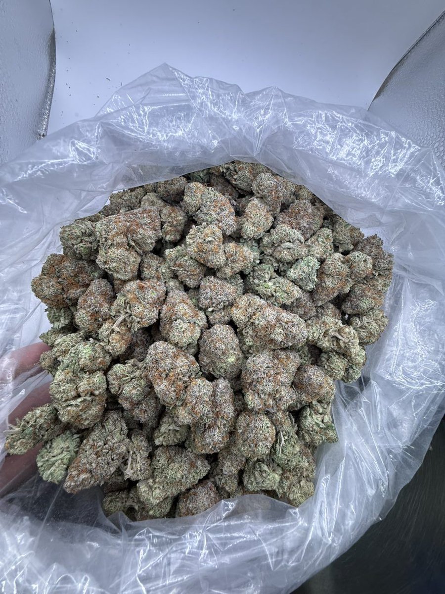 og_smoka's tweet image. Happy Sunday fam wishing you a wonderful day so wake and bake with some Lemon cherry 
License indoor 
#420Community
#420Friendly
#CannabisCommunity
#StonerFam
#Mmemberville
#topshelf
#mids
#kind
#brickweed