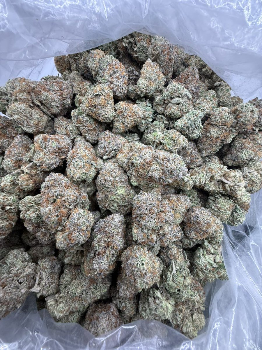 og_smoka's tweet image. Happy Sunday fam wishing you a wonderful day so wake and bake with some Lemon cherry 
License indoor 
#420Community
#420Friendly
#CannabisCommunity
#StonerFam
#Mmemberville
#topshelf
#mids
#kind
#brickweed