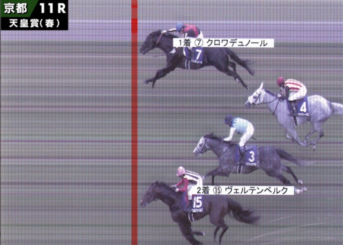 ハシビロコウ競馬【石の上にも三年目】 tweet media