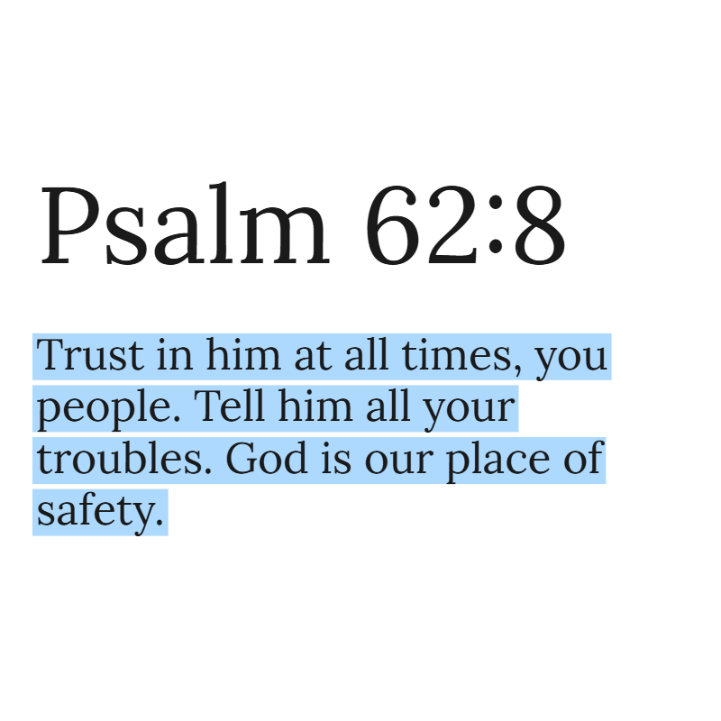 Holy Bible tweet media