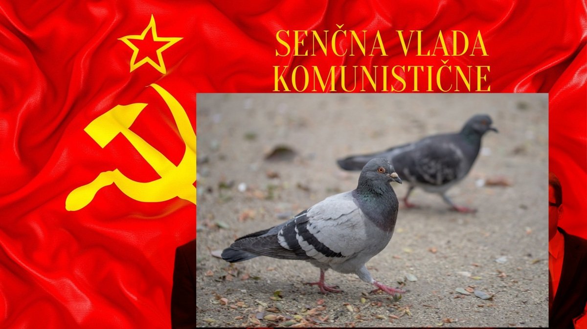 KALIGULA tweet media