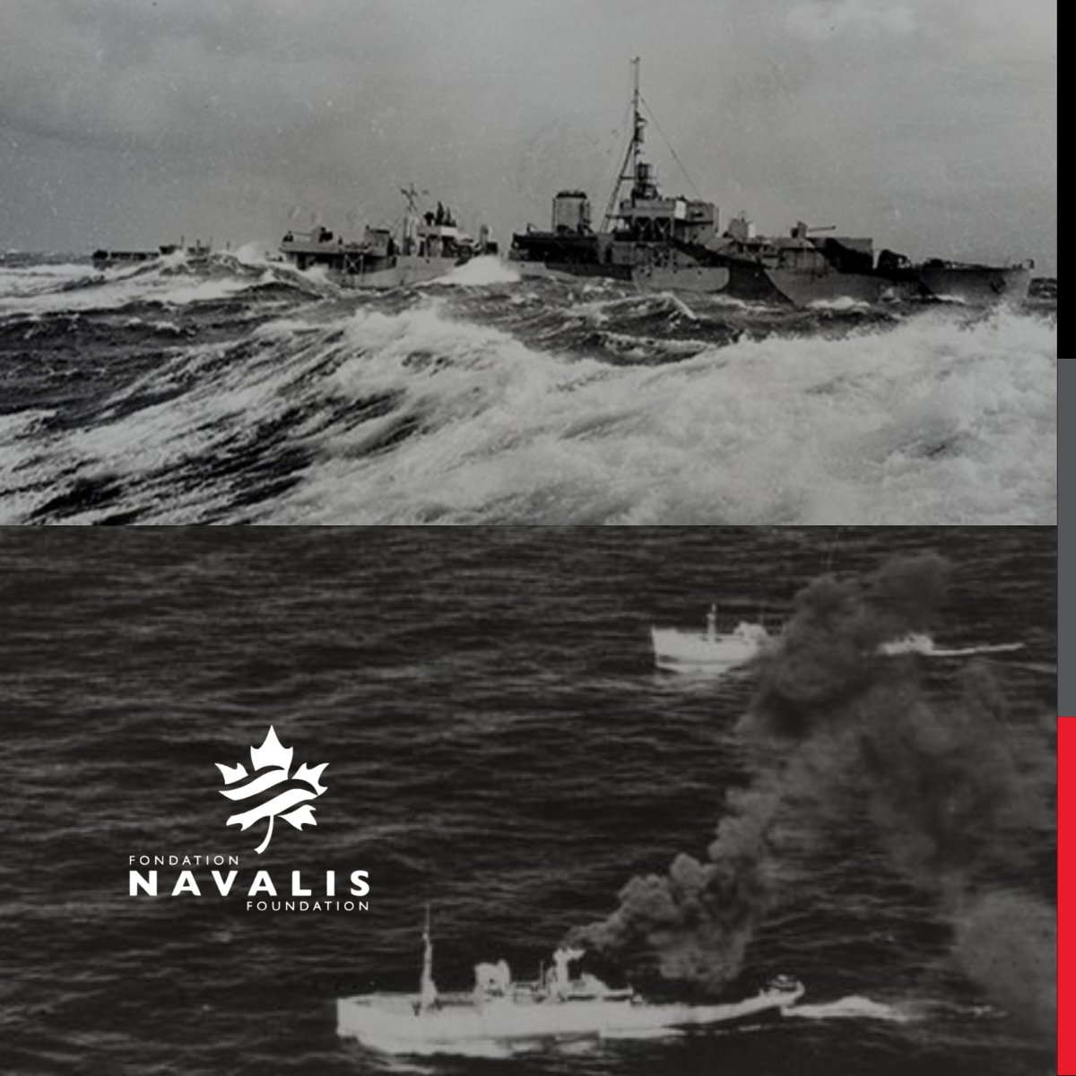 Navalis Foundation tweet media