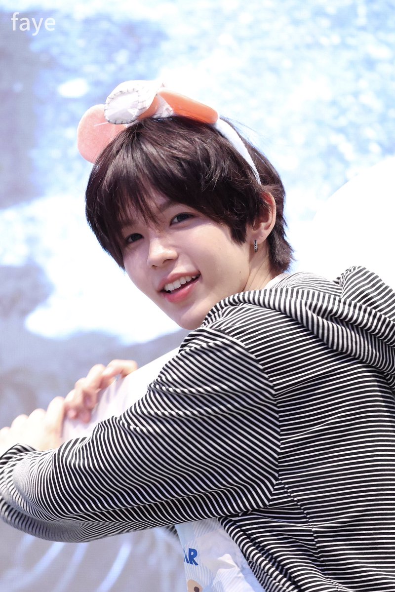 페이 tweet media