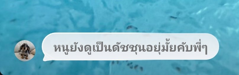 คูมเอิน ☘︎ (real) tweet media