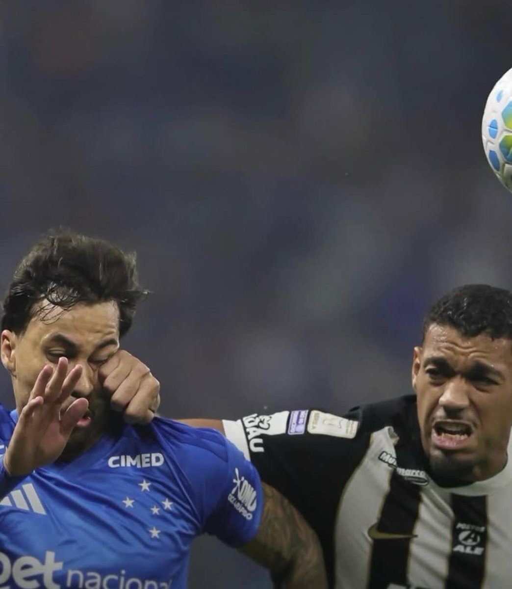 GABRI DE FATO tweet media