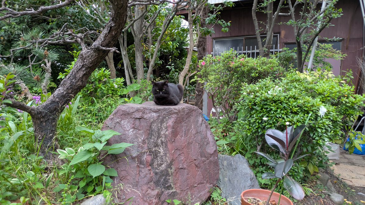 みわ　みぞおち tweet media