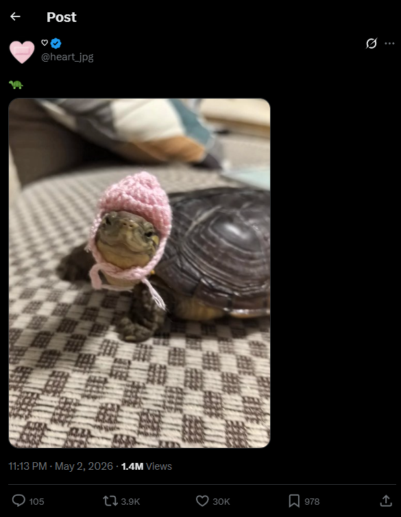 ness tweet media