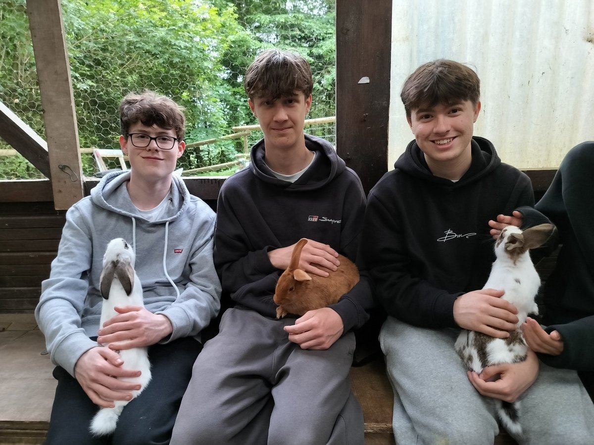 Therfield MFL tweet media