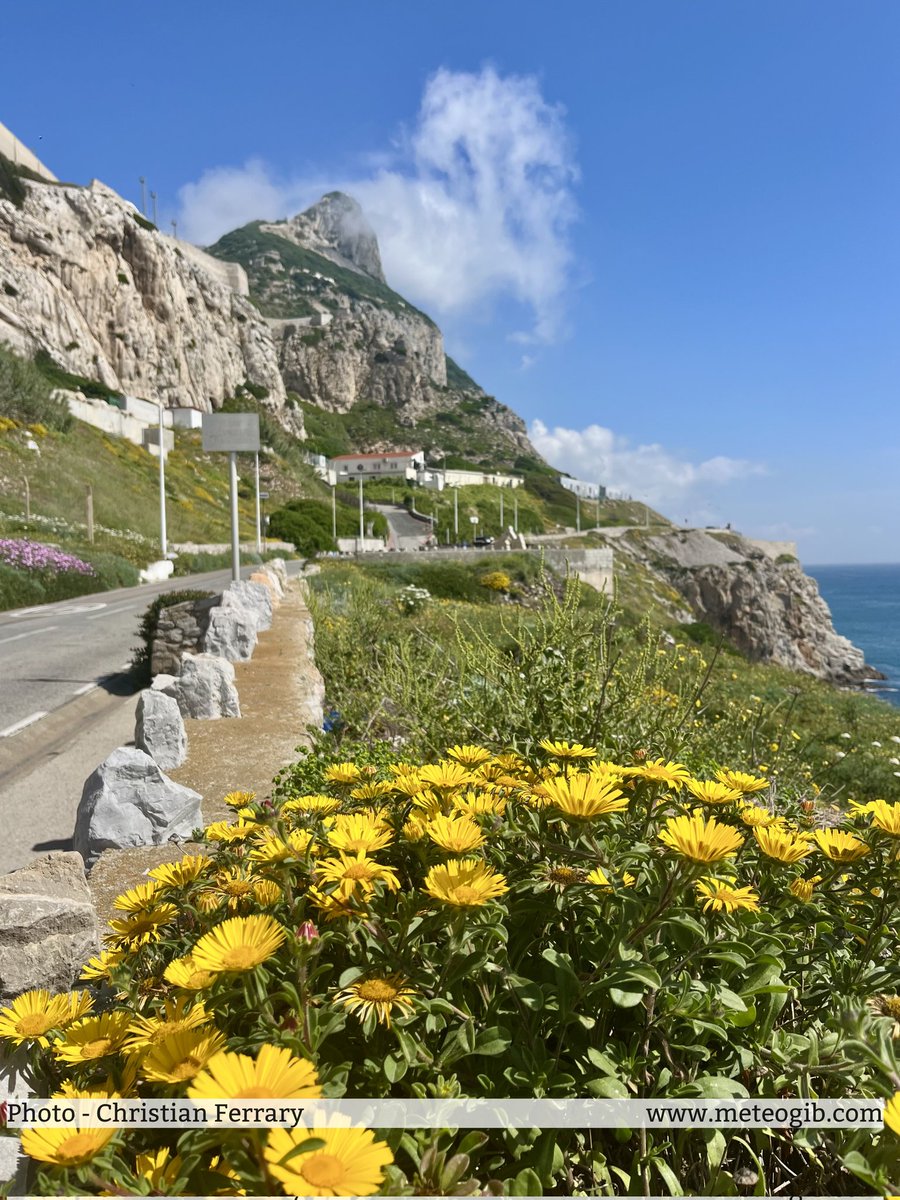 MeteoGib tweet media