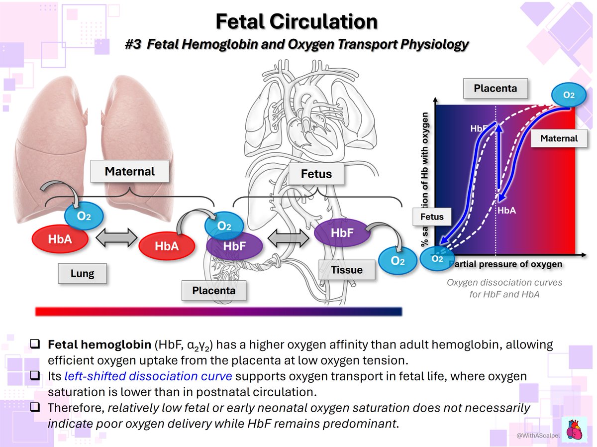WithAScalpel - Fumiya Yoneyama, MD, PhD tweet media