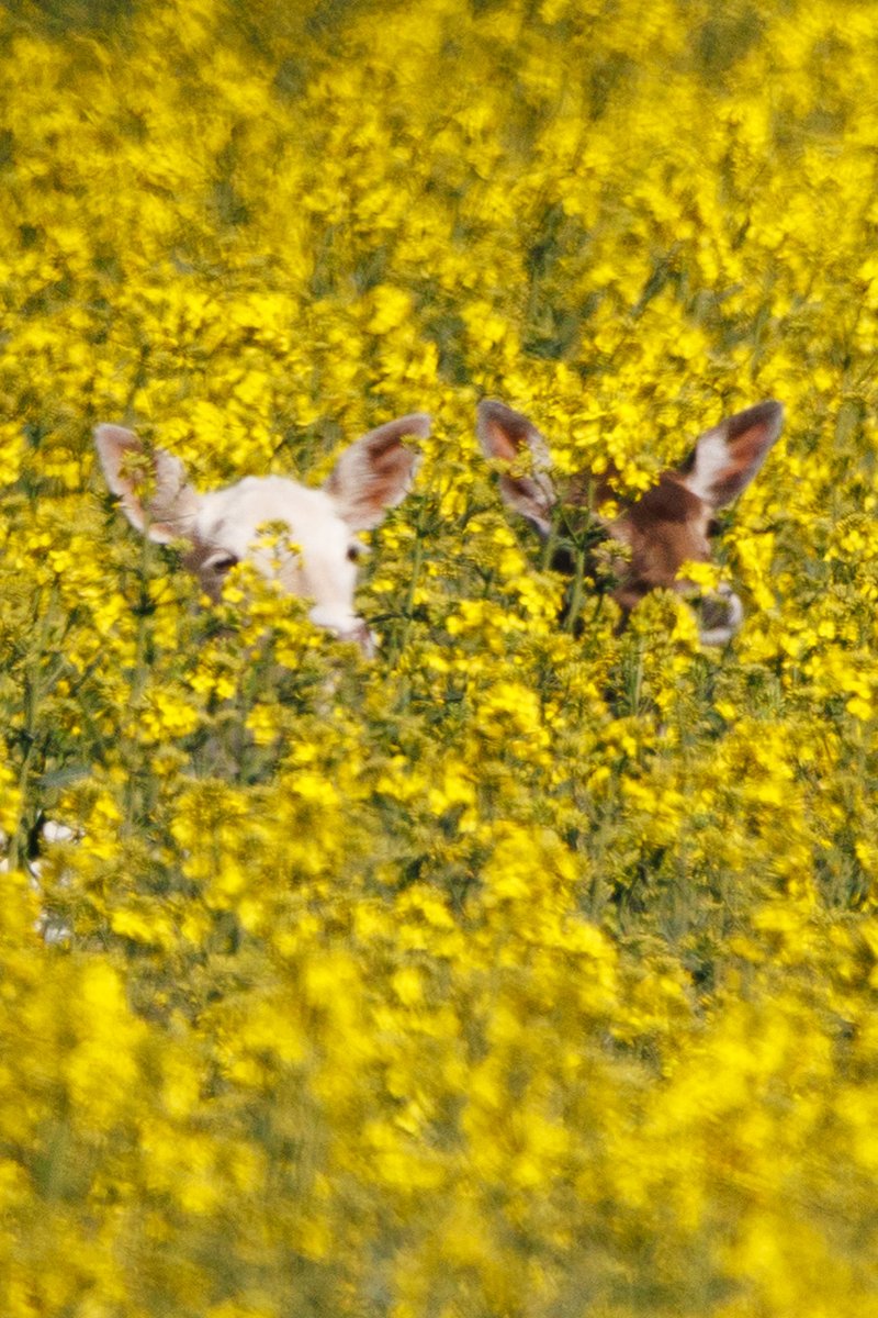 Na Fotograficznym Szlaku tweet media