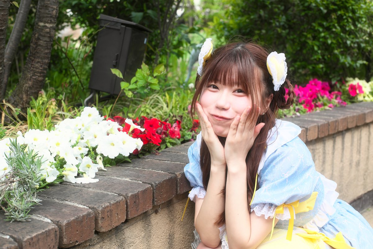 とっしぃ@【椿】の人、 tweet media