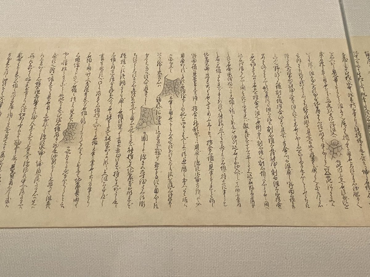坂口かぐち tweet media