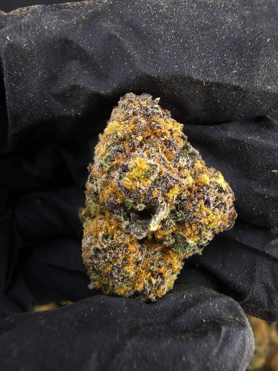 kaai_neuua_boi's tweet image. 💡Indoor💡, ✨Size Top Mix✨
Blackberry Oreo Big Stuff🫐

Indica70% , THC42%

Aroma : Candy🍭 Sour🍋 Fruity🍎🍇🍊

100G = 1,550฿ , Kg = 11,500฿

🛍️สนใจสินค้า @Line 
ทักแชท ตามสั่งได้เลยครับ🔻
Line ID (.) ▶️ 0924153858.

#weed #weedthailand #Og #cannabis #สายเขียว #กัญชา #420twt