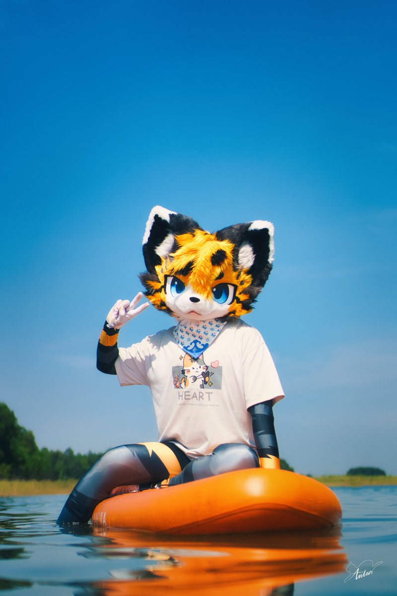 Bonicheque Cat tweet media
