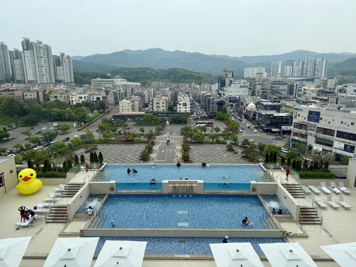 어제 호텔 수영장에서 쉬지 않고 수영하시던 어느 여성분을 보고 엄청 자극받음 
수영 다시 배우고 싶다!! 저렇게 오랫동안 여유롭게 수영하고 싶다!!! (25미터 왕복하면 숨차 죽는 사람)
