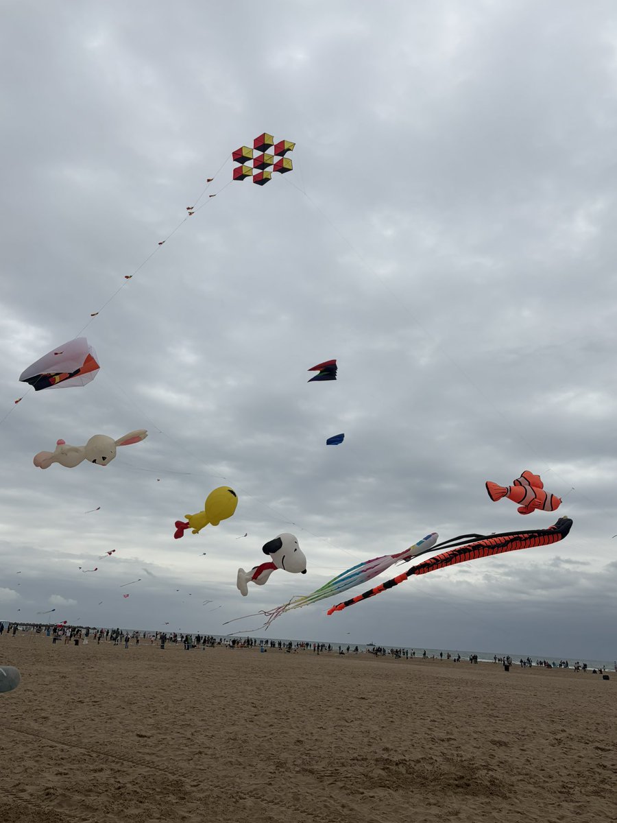 FDM Deporte València tweet media