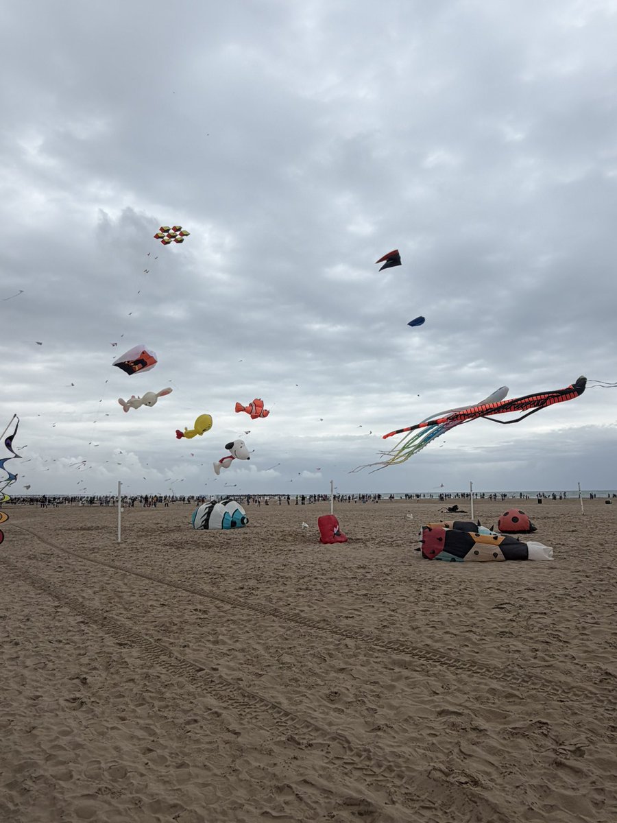FDM Deporte València tweet media