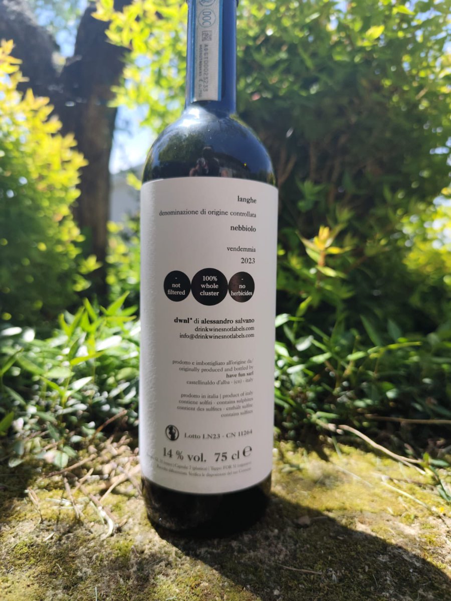 _imadethis's tweet photo. Combattere l’hangover con qualità 😎🍷 https://t.co/Aqwm4PRuSa