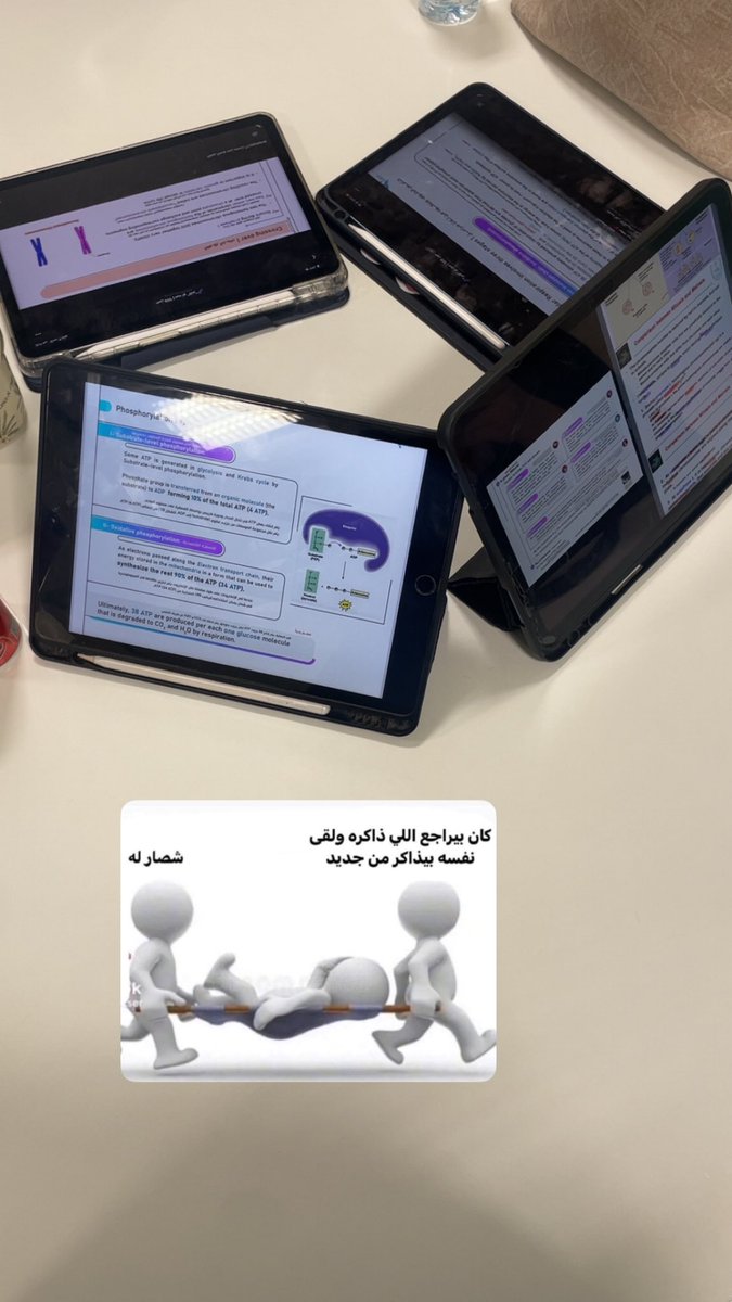 🎠 tweet media