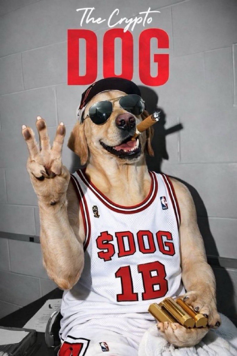 Ackerman ($DOG ARC) tweet media