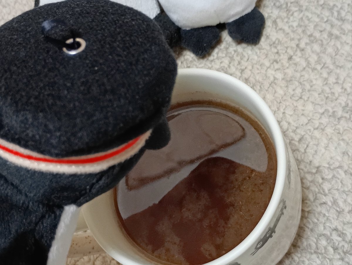 ｷｬﾝﾁｮﾒ tweet media
