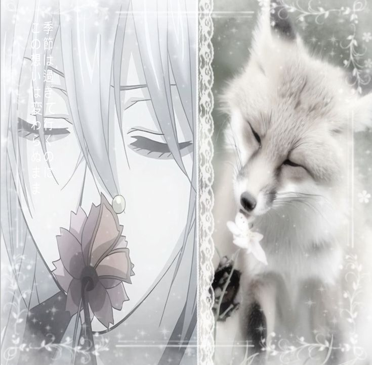 lukakuls's tweet photo. #promotwt  ˖᯽ ݁˖ ✿ 
 ,,      no dni         ≣ ⑅ ꊞ ⁺ luka 
 @  6teen!  ⊹  he/she  
⸝⸝ #shedtwt ❀    ◟   #moothunt 
★  ♡ ╱ ↺  to be moots , ifb! 
 #gachitwt #bsdtwt #alnsttwt #madokatwt #zenotwt #forsakentwt https://t.co/5CndUXBcbY