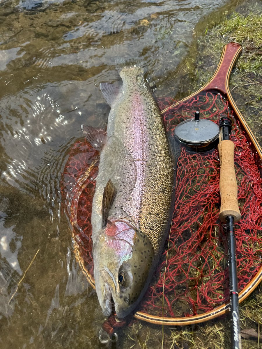 flyfishingとWrangler(キチガイ) tweet media