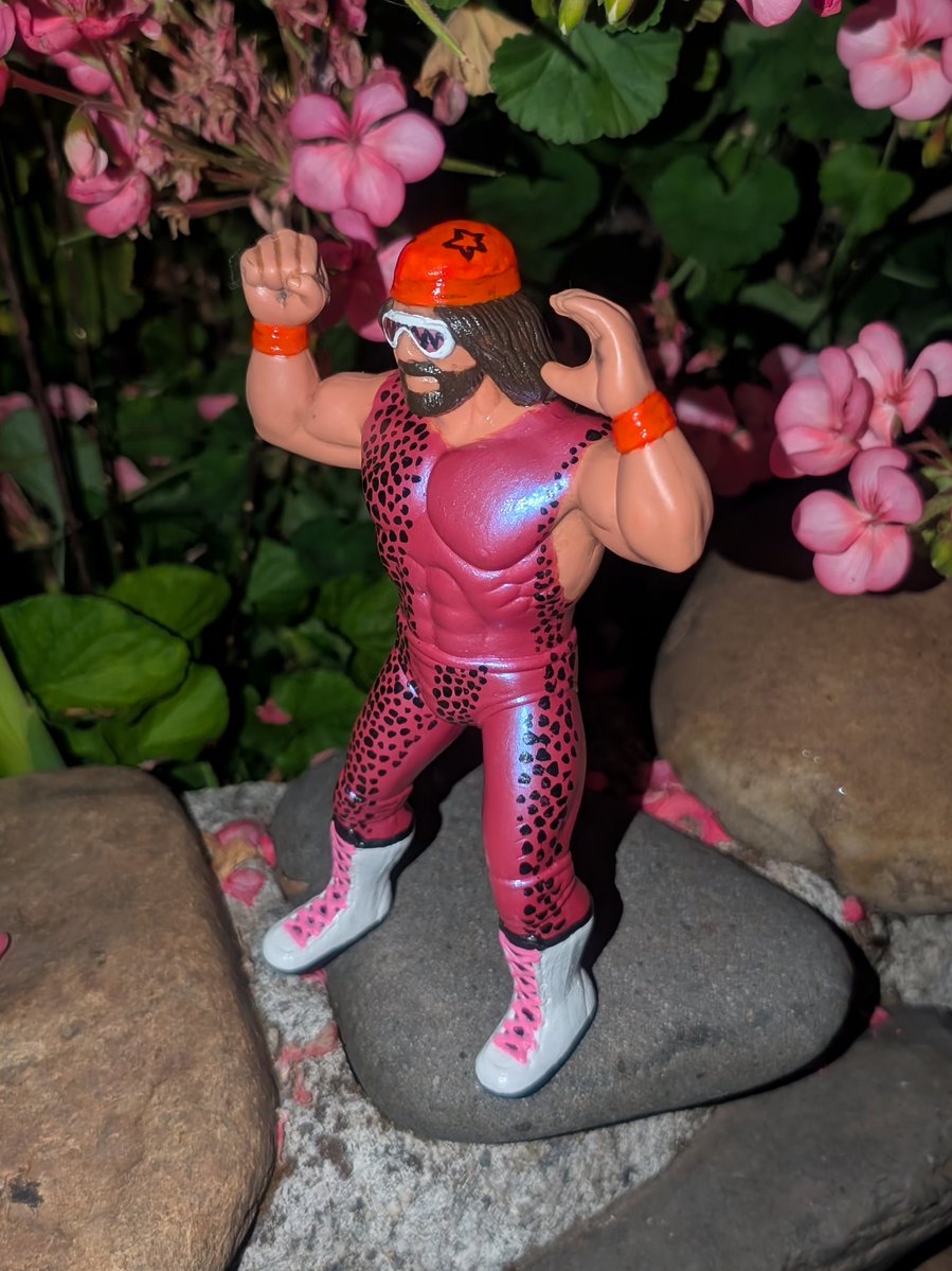 80s Wrestling Fan tweet media