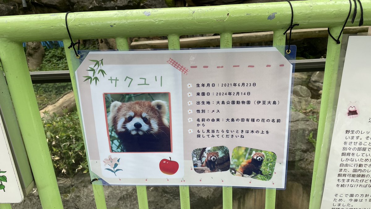 きち tweet media