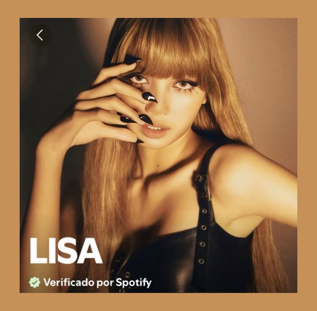 LISA BRASIL tweet media