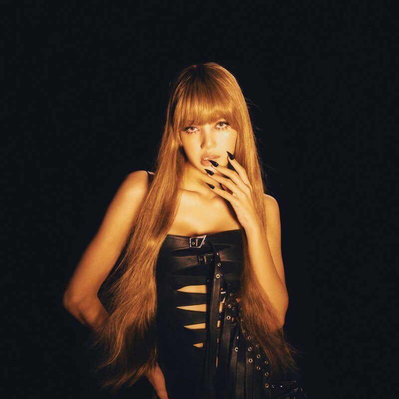 LISA BRASIL tweet media