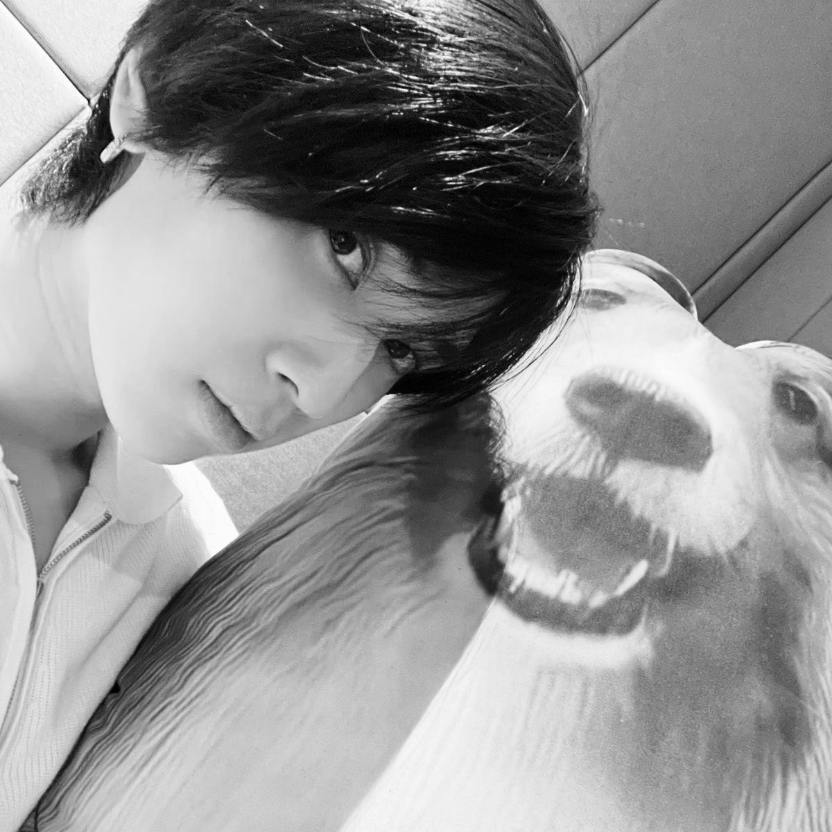 notexale's tweet photo. ; joongdunk au

𝓐 𝓡𝓮𝓪𝓼𝓸𝓷 𝓽𝓸 𝓢𝓣𝓐𝓨

Hidupnya sempat berhenti. Sampai..seseorang yang bahkan belum bisa bicara bikin dia mau mencoba lagi. https://t.co/aWCOF1xdYk