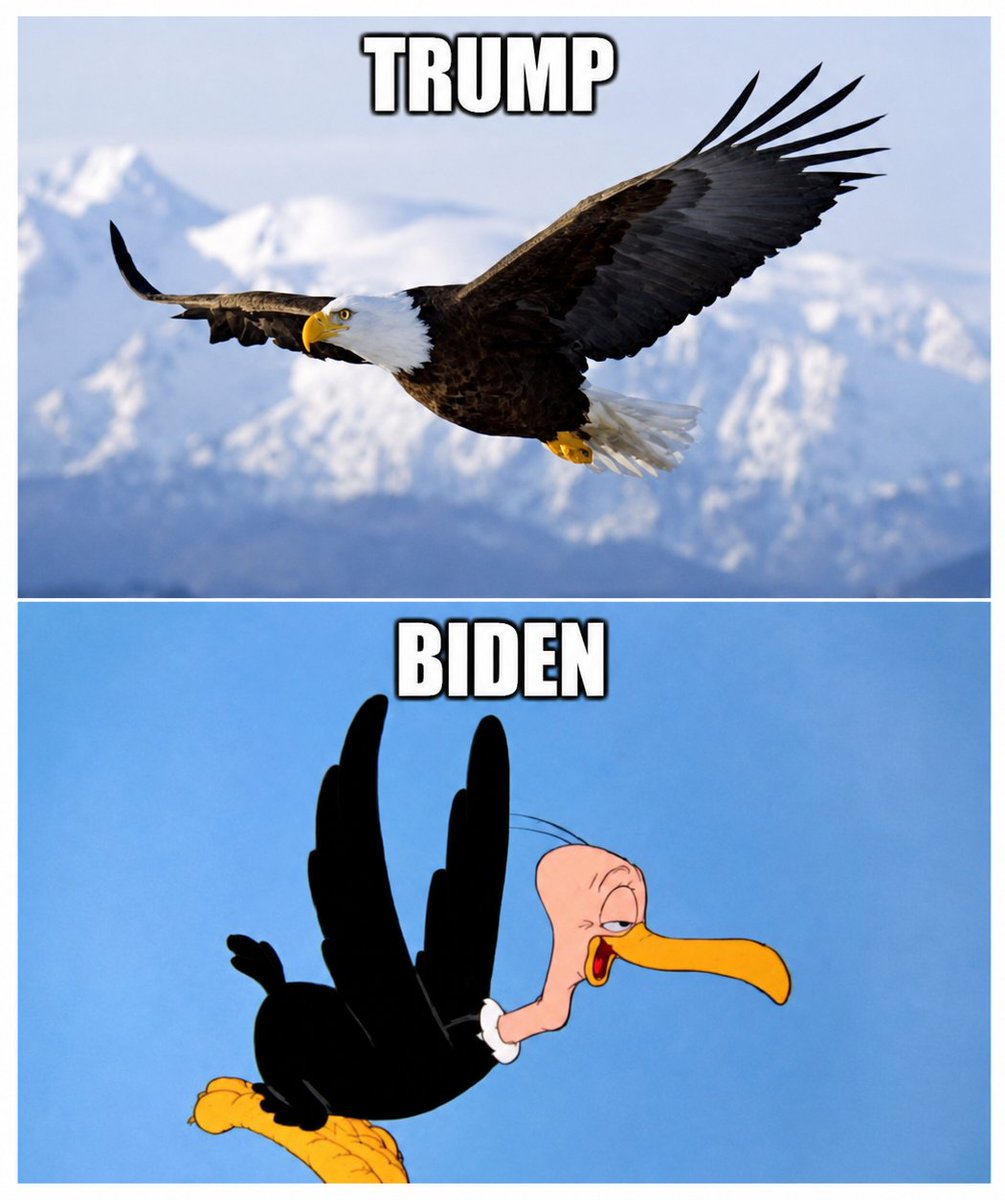 Patriot1 tweet media