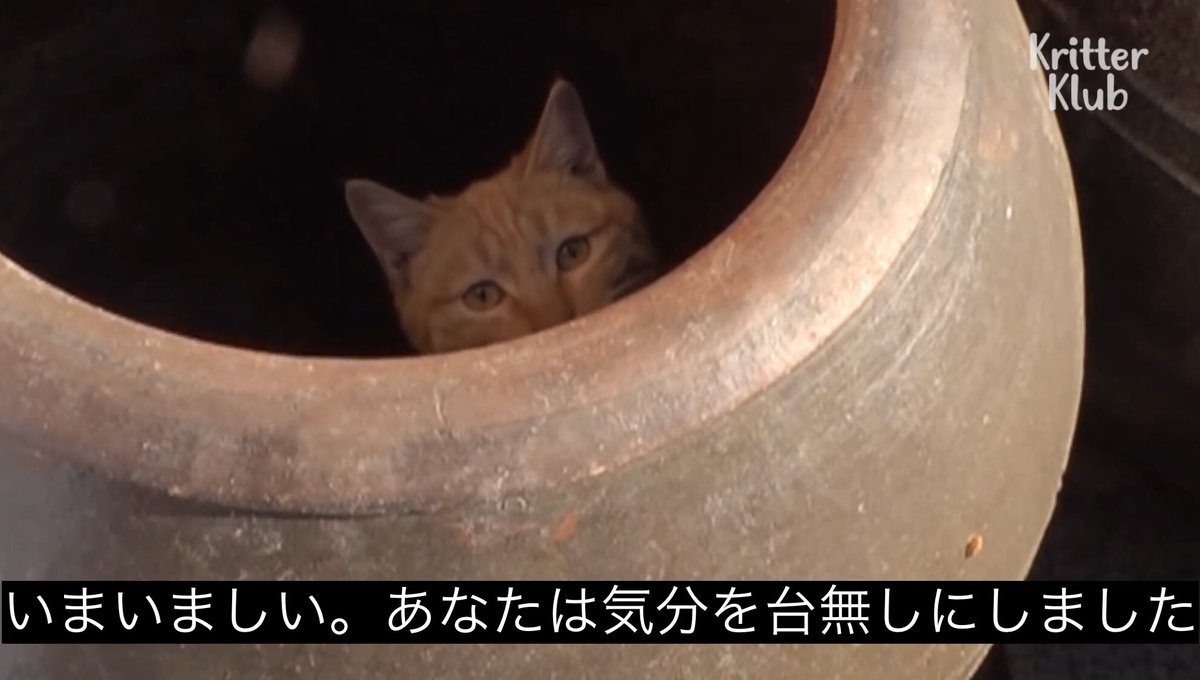 なとみ tweet media
