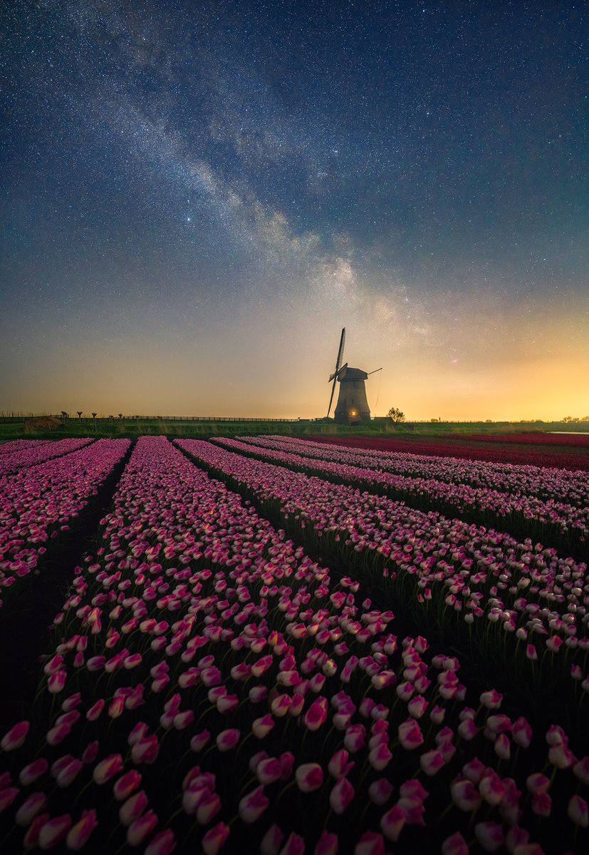Tulip Galaxy

A shot I wanted to make for a while. A few weeks ago the nights were extremely clear and dry in the Netherlands, allowing me to finally do this photo. The orange glow in the photo is light pollution, mainly from Amsterdam on the right.