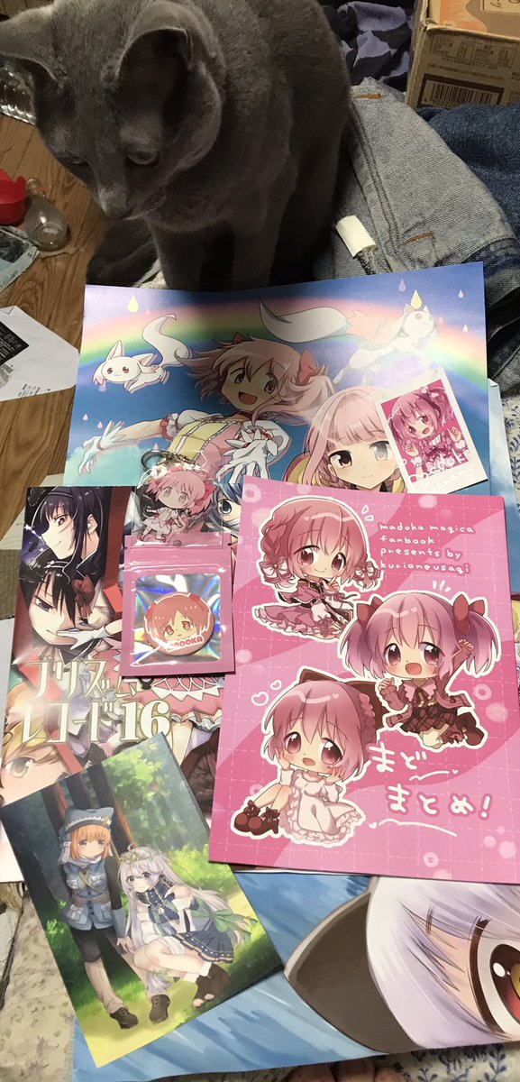 CarpCat227's tweet photo. やっと帰宅しました！
昨日のプリレコ16
戦利品になります♪
エイミー(キハ)も検品です！
※家に帰ったのでプリレコ終了
#プリレコ https://t.co/lYy4A0Z8uc