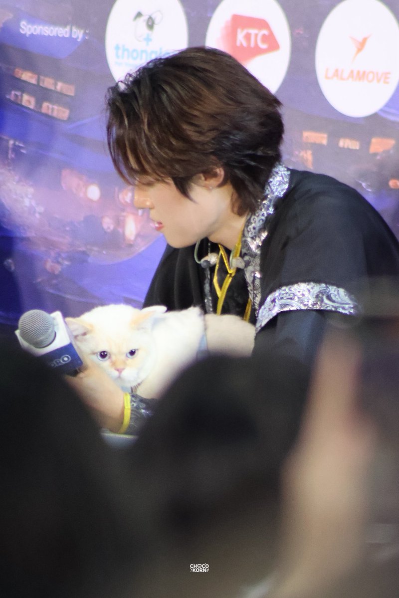 ซินดี้ chocokorn tweet media
